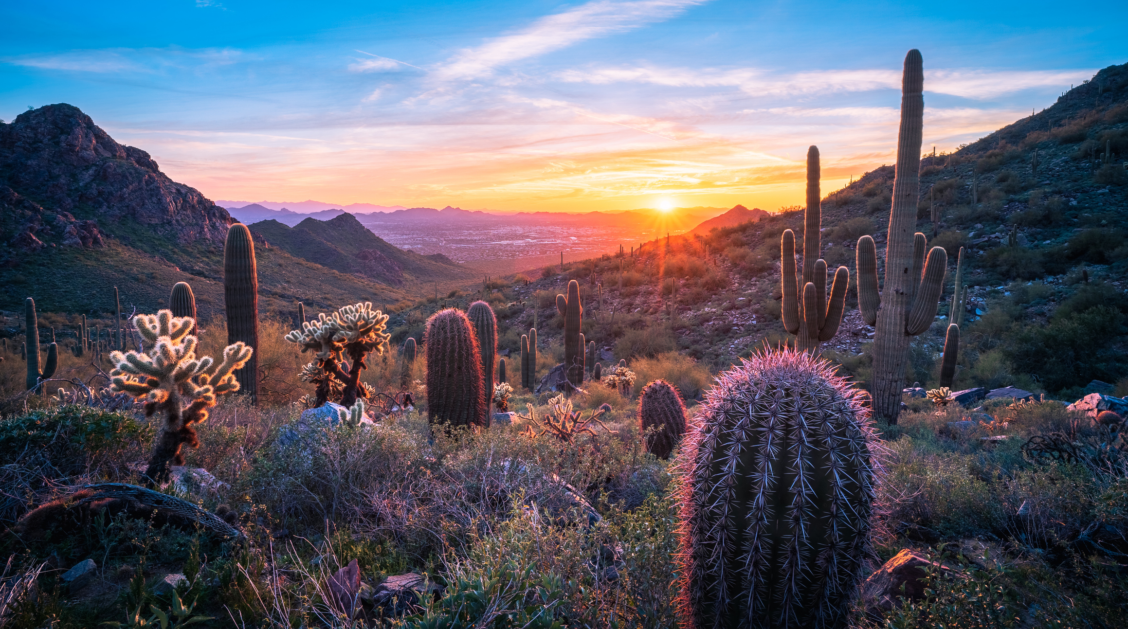 Best Things to See in Arizona for a Travel Healthcare Professional
