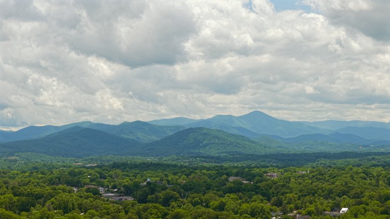 healthcare assignment in North Carolina